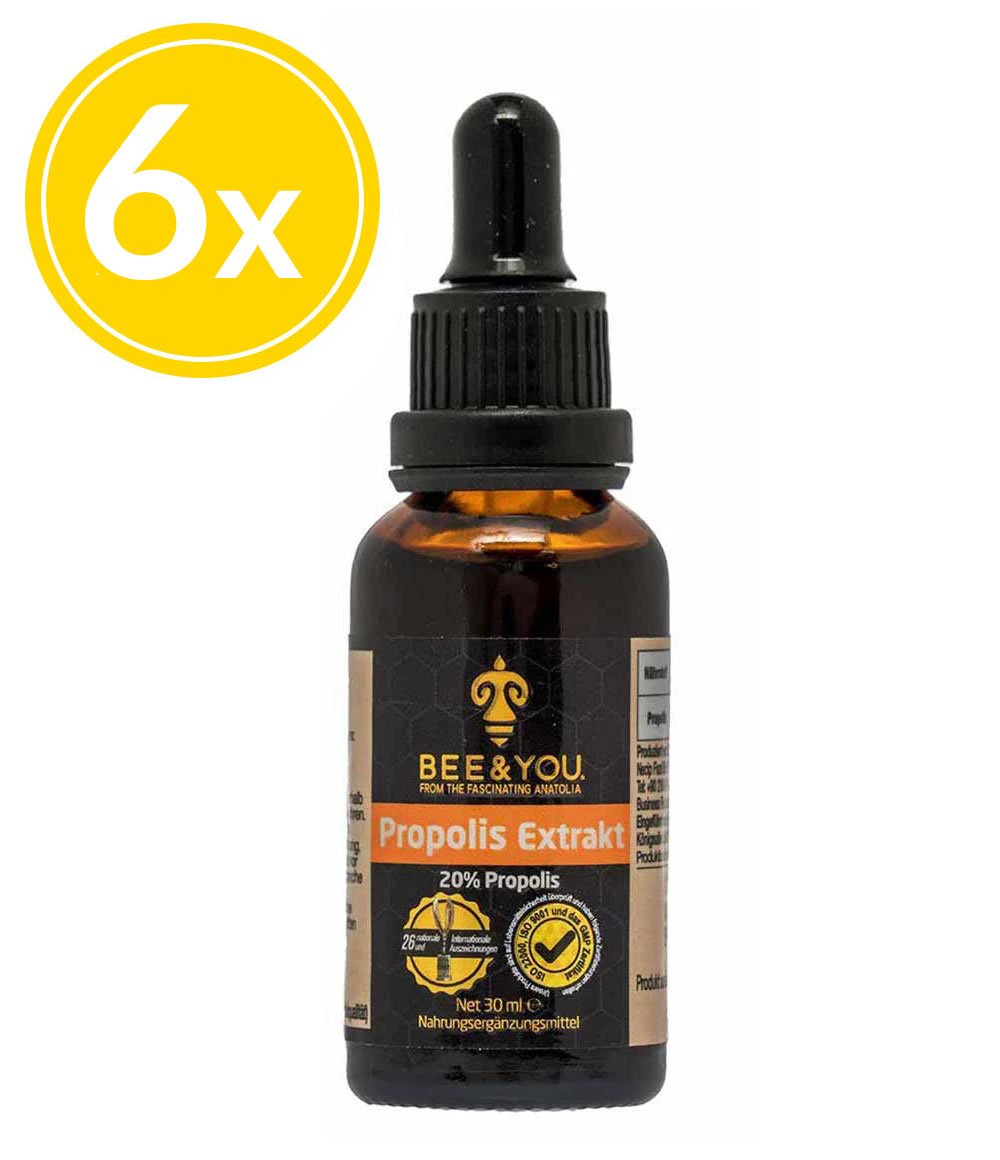 Propolis Extrakt Tinktur 20% x 6